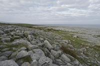 Cjp_2017-04-09_073950.jpg