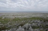Cjp_2017-04-09_074000.jpg