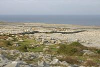 Cjp_2017-04-09_074218.jpg