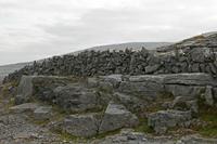 Cjp_2017-04-09_074240.jpg