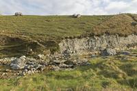 Cjp_2017-04-09_074942.jpg