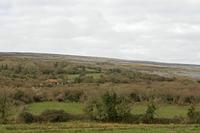 Cjp_2017-04-09_075620.jpg