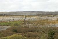 Cjp_2017-04-09_075716.jpg
