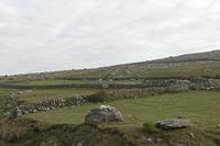 Cjp_2017-04-09_080024.jpg