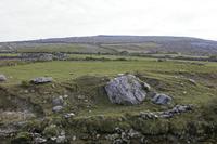 Cjp_2017-04-09_080026.jpg