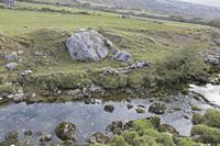 Cjp_2017-04-09_080032.jpg