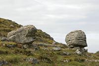 Cjp_2017-04-09_080200.jpg