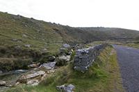 Cjp_2017-04-09_080212.jpg