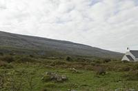 Cjp_2017-04-09_080322.jpg