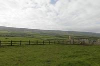Cjp_2017-04-09_081348.jpg