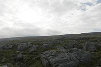 Cjp_2017-04-09_081936.jpg