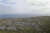 Cjp_2017-04-09_081952.jpg