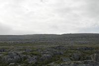 Cjp_2017-04-09_082004.jpg