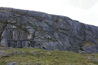 Cjp_2017-04-09_082308.jpg