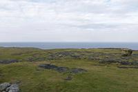 Cjp_2017-04-09_082330.jpg