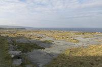 Cjp_2017-04-09_082446.jpg