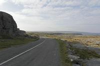 Cjp_2017-04-09_082506.jpg