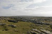 Cjp_2017-04-09_082702.jpg