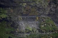 Cjp_2017-04-09_112146.jpg