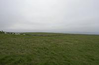 Cjp_2017-04-09_113748.jpg