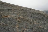Cjp_2017-04-09_115130.jpg