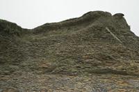 Cjp_2017-04-09_115154.jpg