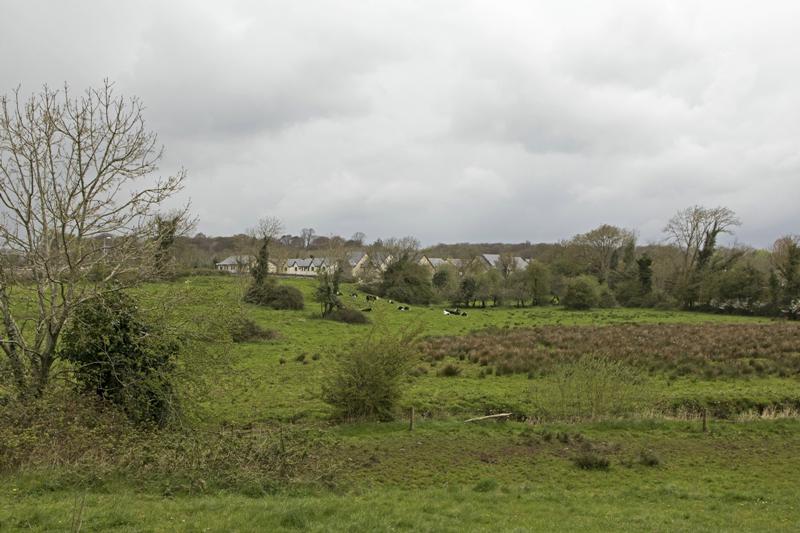Cjp_2017-04-09_150010.jpg