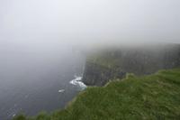 Cjp_2017-04-09_122722.jpg