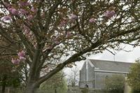 Cjp_2017-04-09_144538.jpg