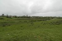 Cjp_2017-04-09_150606.jpg