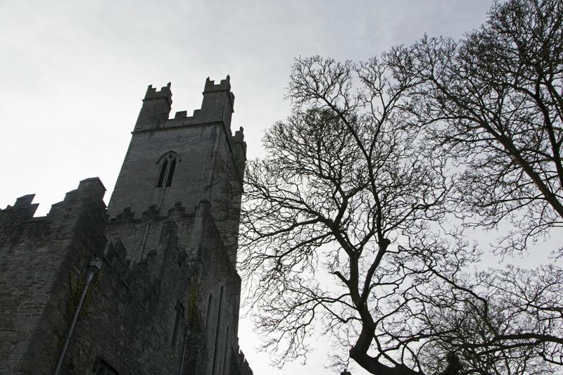 Cjp_2017-04-10_082926.jpg