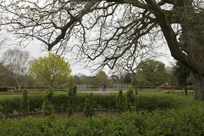 Cjp_2017-04-11_074518.jpg