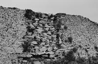 Cjp_2017-04-12_181814_01_NB.jpg