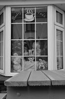 Cjp_2017-04-12_181900_01_NB.jpg