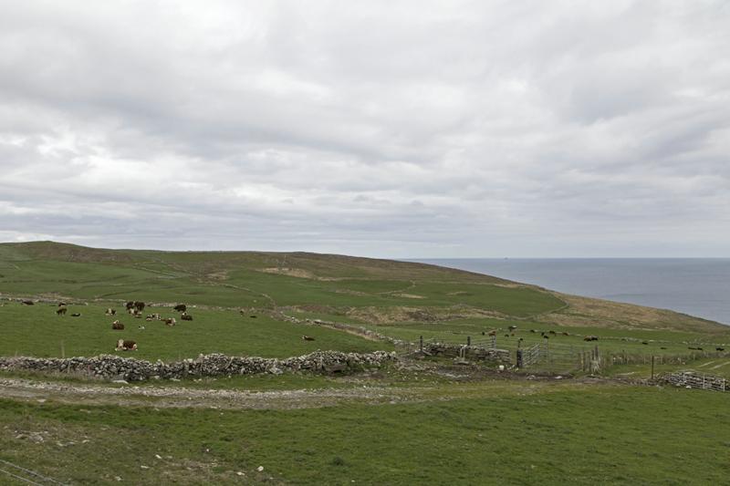 Cjp_2017-04-15_155350.jpg