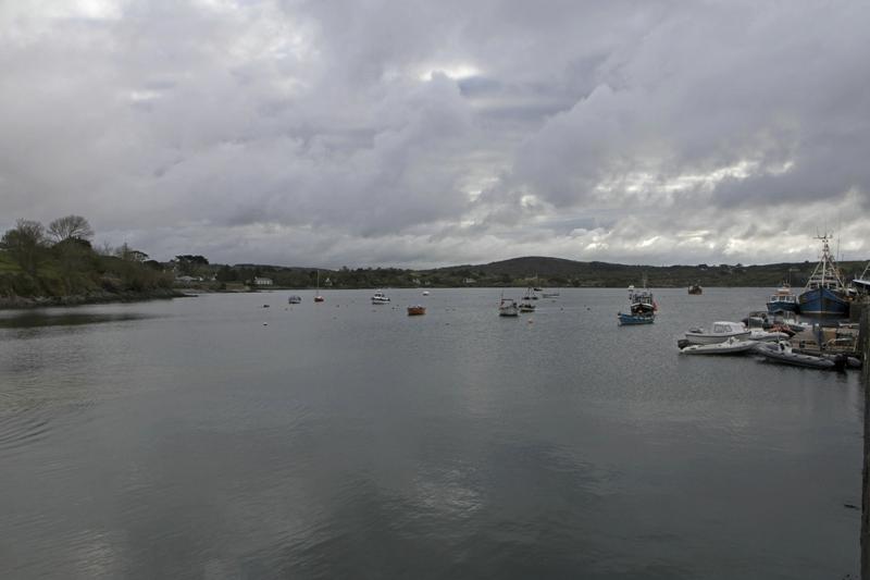 Cjp_2017-04-16_074940.jpg
