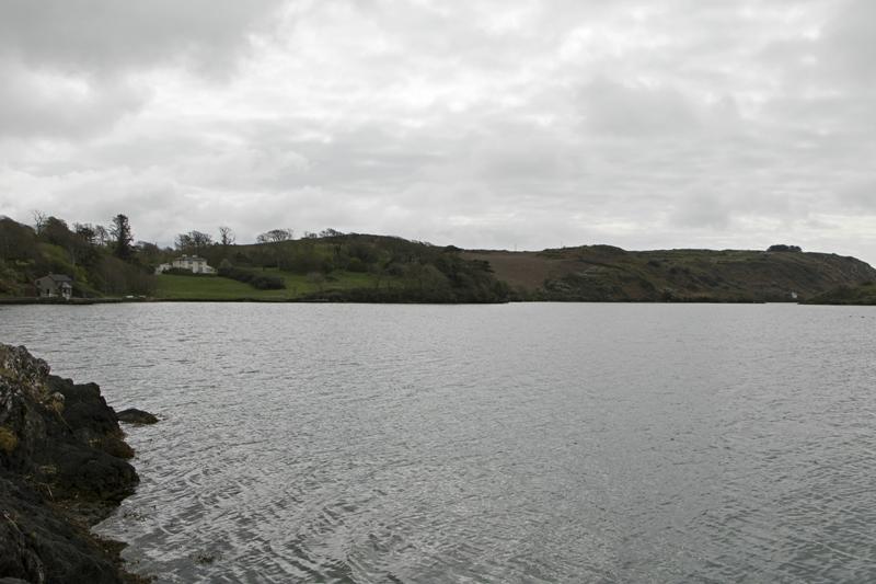 Cjp_2017-04-16_094804.jpg