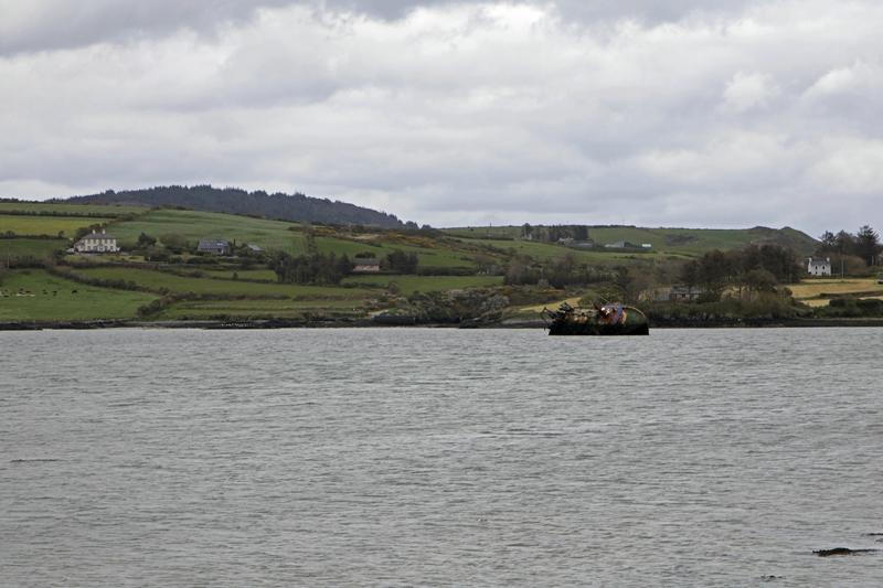 Cjp_2017-04-16_130106.jpg