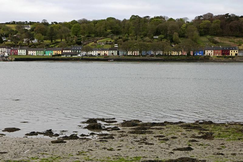 Cjp_2017-04-17_061544.jpg