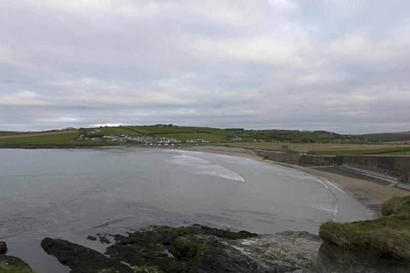 Cjp_2017-04-17_063940.jpg