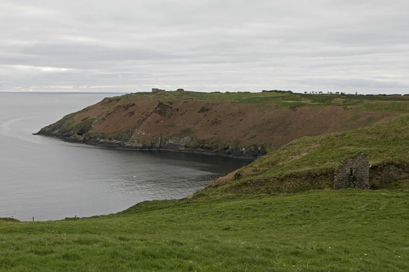 Cjp_2017-04-17_065722.jpg