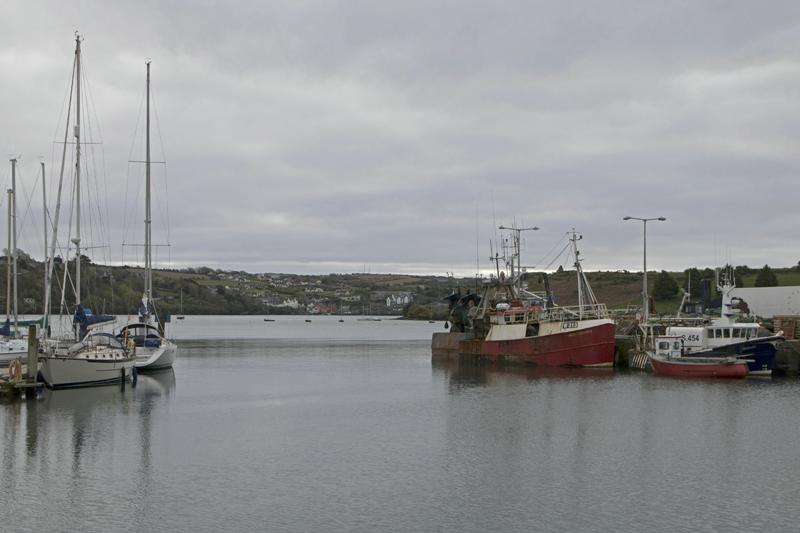 Cjp_2017-04-17_080306.jpg