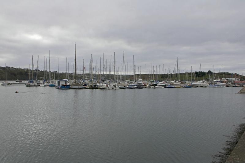 Cjp_2017-04-17_080628.jpg