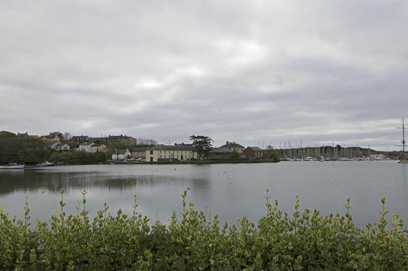 Cjp_2017-04-17_081520.jpg