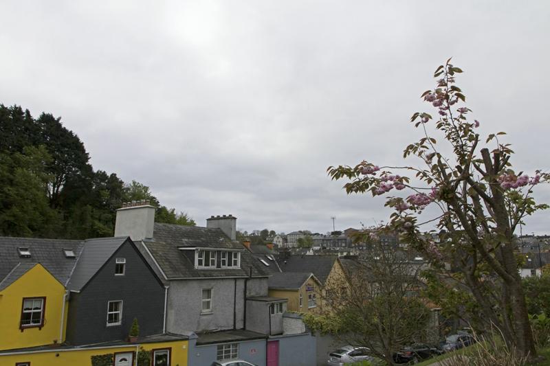 Cjp_2017-04-17_082344.jpg