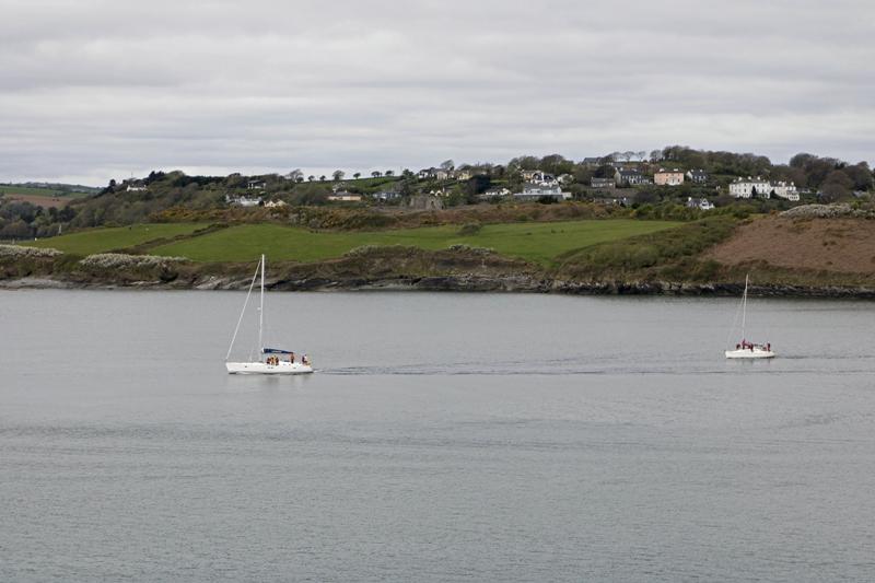 Cjp_2017-04-17_102150.jpg