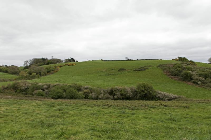 Cjp_2017-04-17_123538.jpg