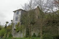 Cjp_2017-04-17_074740.jpg