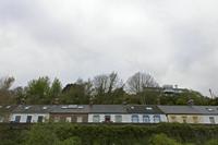 Cjp_2017-04-17_074944.jpg