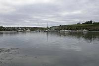 Cjp_2017-04-17_075048.jpg